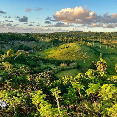 Villa Vertigo Río San Juan エクステリア 写真